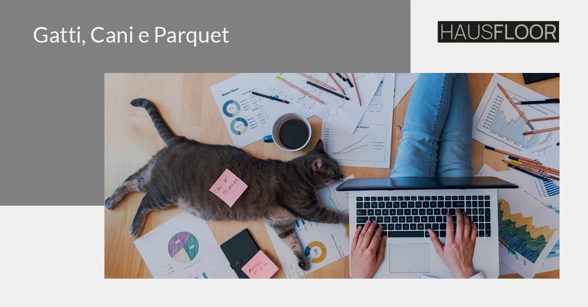 Gatti, Cani e Parquet: è possibile far coesistere le due realtà? - Hausfloor