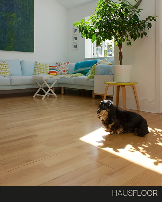Gatti, cani e parquet: quale essenza scegliere - Hausfloor