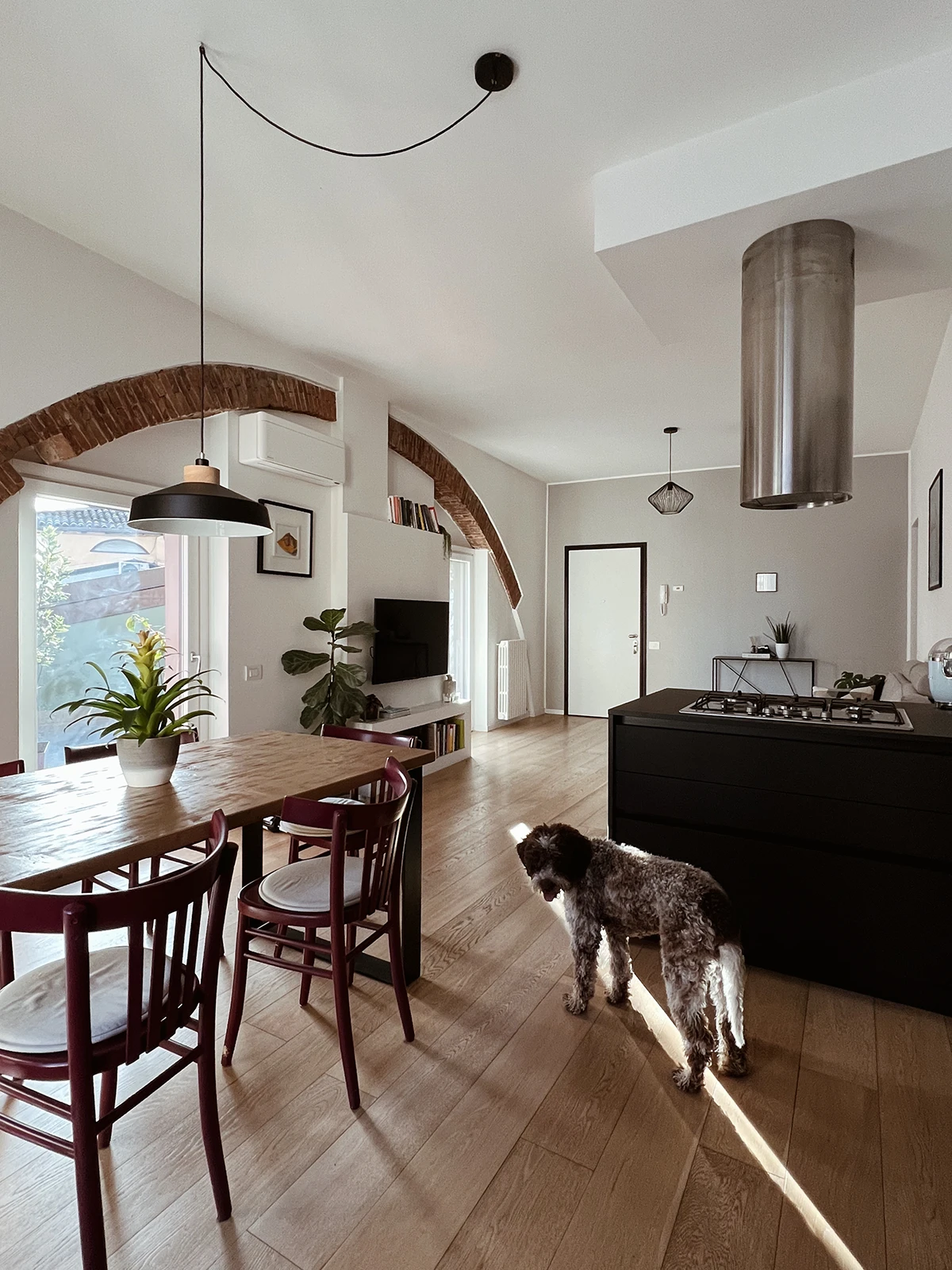 Parquet o SPC: quale scegliere con animali domestici
