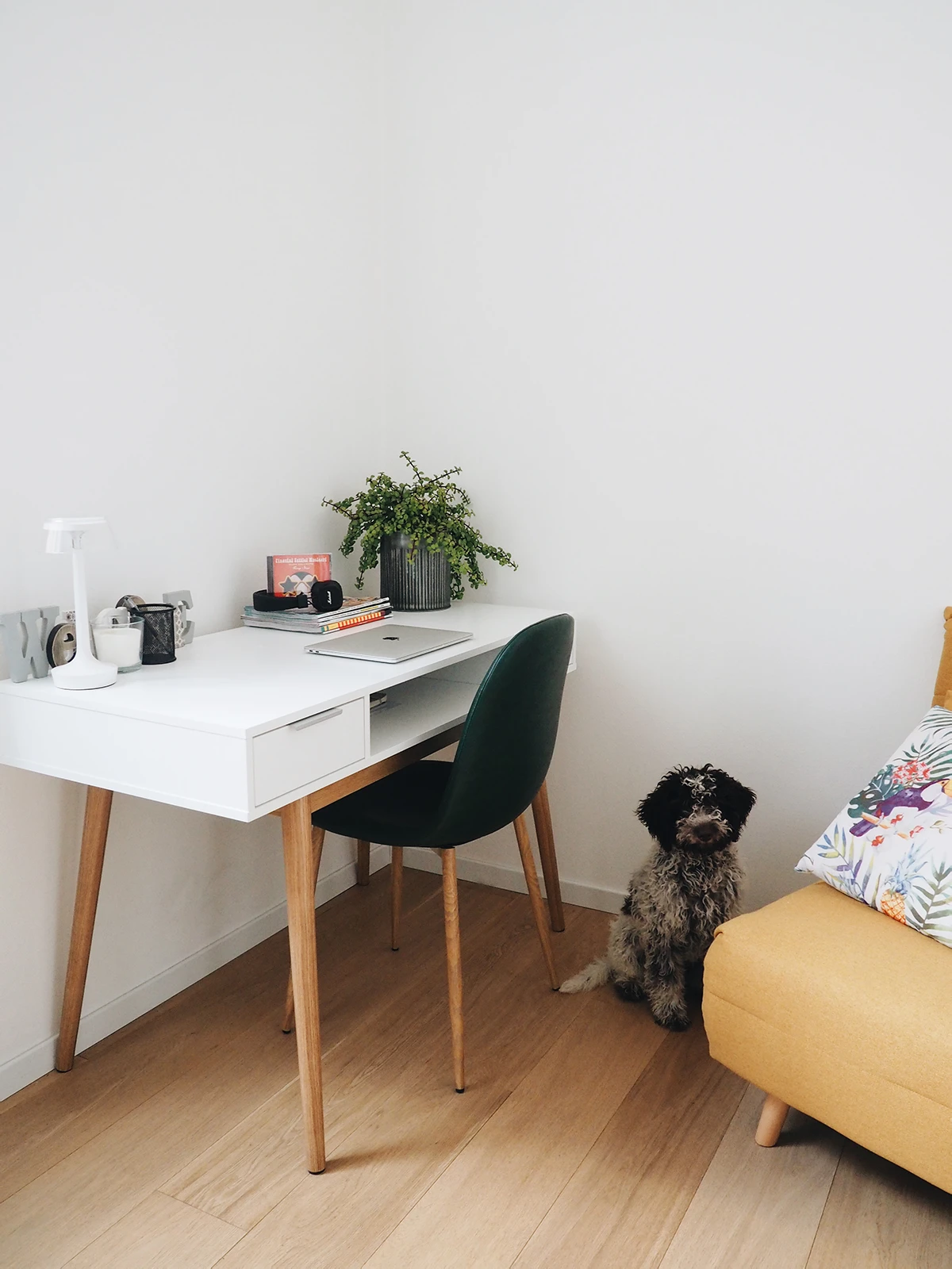 Parquet o SPC: quale scegliere con animali domestici