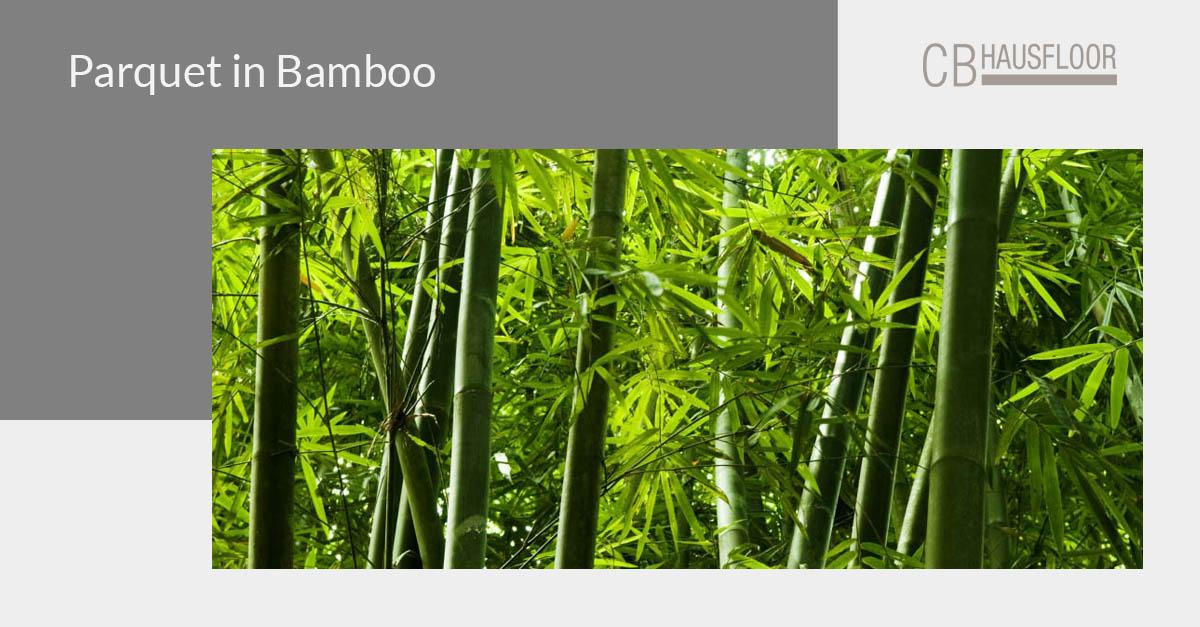 Parquet bamboo: la nuova frontiera della sostenibilità