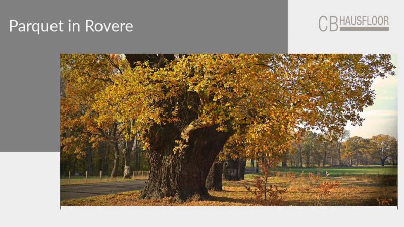 Parquet rovere: foto, esempi e sostenibilità - Hausfloor