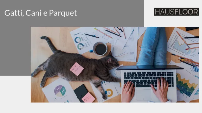 Gatti, Cani e Parquet: è possibile far coesistere le due realtà?